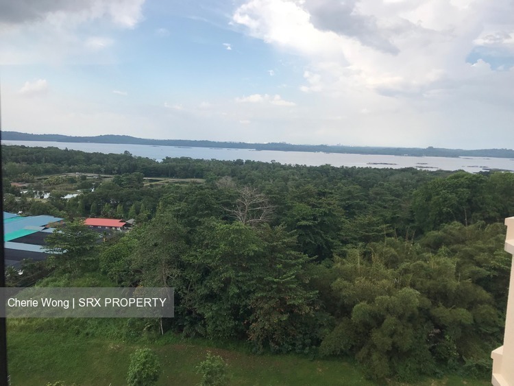 Pasir Ris Street 72 thumbnail photo